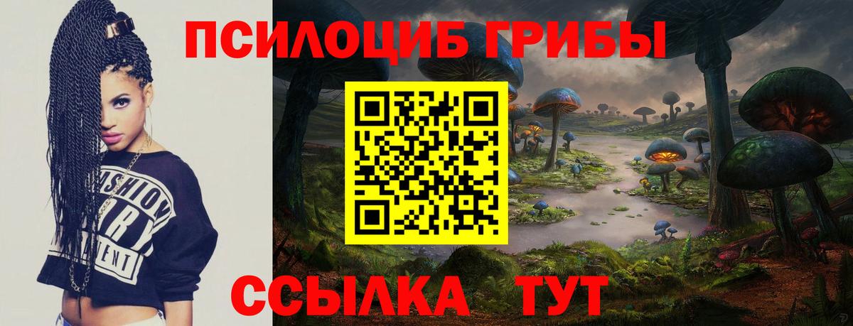 Нижнекамск  Псилоцибиновые грибы Psilocybe  Вход с VPN  Галлюциногенные грибы Cubensis 