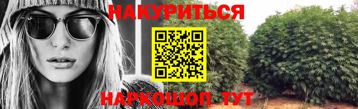 Нижнекамск  Конопля VHQ  Вход с VPN  Конопля Bruce Banner 